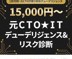 元ＣＴＯ★ＩＴデューデリジェンスします イメージ1