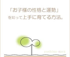お子様の性格と適性と運勢を四柱推命で占います お母さんとの相性も含めてみます！