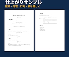 論文・問題集の数式をTeXできれいに清書します イメージ1
