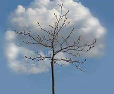 あなたの幸せな未来のお手伝いをします。