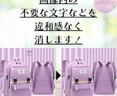 画像内の不要な文字や人物を消します 画像を違和感なく修正補正変更します。