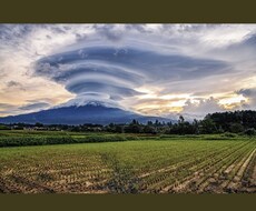 お子さんについての悩み事うかがいます