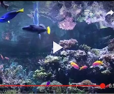 動画をYouTubeにアップするまでガイドします YouTubeに動画をアップしてみたいけど難しそうと思う方