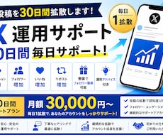 X(旧Twitter)30日間拡散代行します イメージ1