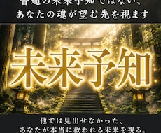 普通の未来予知ではない、あなたの魂が望む先を視ます 他では見出せなかった、あなたが本当に救われる未来を視る。
