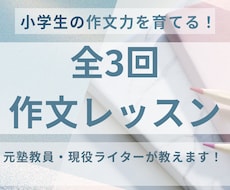 3回作文レッスン｜小学生の作文力を育てます イメージ1