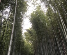 ３日間　日頃の愚痴聴きます イメージ1