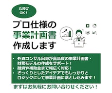 プロ仕様の動く財務モデル・事業計画書作成します 丸投げOK！融資や補助金まで幅広く対応”