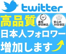 216ページ目）SNS拡散サービスをお探しなら！TwitterやYouTube、Instagramの集客に | ココナラ