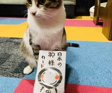 日本の神様カードでアドバイスします イメージ1
