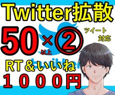 激安！！50RT以上まで宣伝します 新オプションでさらに便利に(´▽｀)