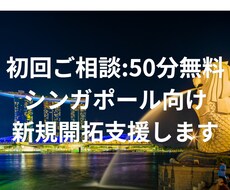 ご相談無料 シンガポール 新規開拓支援します IT営業経験20年の現地在住者が新規開拓代行します。