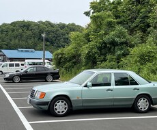 ネオクラシックベンツの購入・維持のご相談を承ります イメージ1