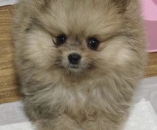 恋愛話も愚痴ききもします イメージ1