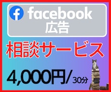 Facebook広告/insta広告相談承ります facebook広告ビジネスマネジャー対応します/ビデオ対応