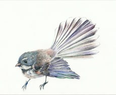 動植物・抽象模様の挿絵やイラストを描きます イメージ1