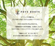 姿勢×不調専門　理学療法士が安心を届けます イメージ1