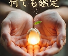おためし版何でも鑑定します あなたのどんな悩みも、魂の視点から丁寧に読み解きます