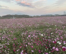 日常の些細な事、何でも聞きます イメージ1