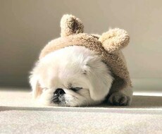 寝れない時などお話し聞きます イメージ1