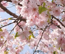 楽しく笑顔になれるよう占いでお手伝いします イメージ1