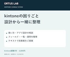kintoneの使い方・アプリ設計を相談できます 経験3年、テキストで運用と設計を整理します