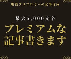特別価格！最大5,000文字の長文記事を書きます 月間10万PVの現役ブロガーが自信を持ってお届けします！