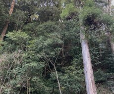 些細なことでもお話きかせていただきます 人に話せない悩みもお相手をさせていただきます。