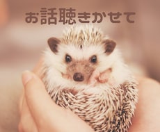 心理学ベースの傾聴で⭐️あなたを全肯定します イメージ1