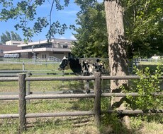 大学生の悩み相談します！ます イメージ1