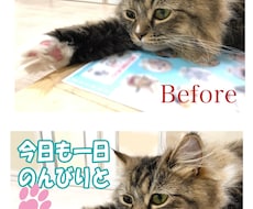 画像編集致します イメージ1