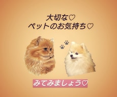 大切なペットのお気持ちみます 大切なペットからあなたへのメッセージをお届け致します