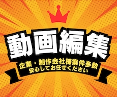 実績多数！迅速・高品質▪️SNS動画編集代行します イメージ1