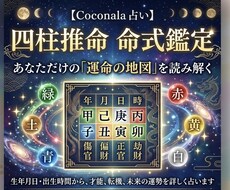 命式をもとに、あなたの本質を読み解きます イメージ1