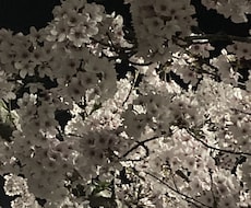あなたの愚痴いつでも言って下さい待ってます イメージ1