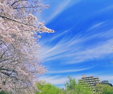 深く丁寧に本確鑑定します お悩みや相談のある方のメニュー