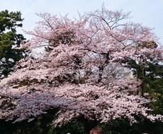 愚痴でもなんでも聞きます イメージ1