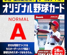 世界にひとつだけのオリジナル野球カードを作ります イメージ1
