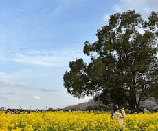 誰にも話せないあなたの悩みの手助けします イメージ1