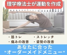理学療法士(国家資格)がストレッチ筋トレ作成します 柔軟性、筋力、肩こり・腰痛など痛み・疲労改善メニュー作成