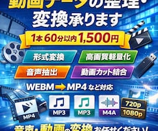 動画データの整理・変換承ります イメージ1