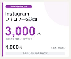 20日【減少保証付き】フォロワーを増やします イメージ1