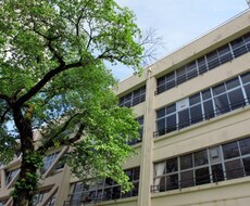 引きこもり、不登校など特に学生の方のお悩みに経験を生かして相談に乗ります！ イメージ1