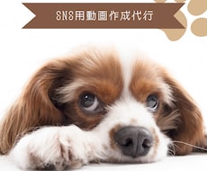 YouTube等SNS投稿用動画作成します イメージ1