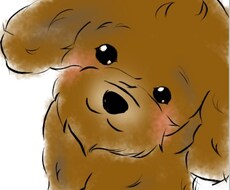 あなたのペットを描きます 写真から特徴を見つけより本人らしくまた可愛らしく描きあげます