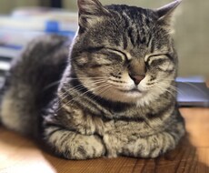 元不登校が悩み相談を聞きます イメージ1
