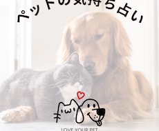 私のペットが伝えたい気持ち・言葉をお伝えします イメージ1