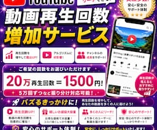 YouTubeの動画再生回数1万回増やします イメージ1