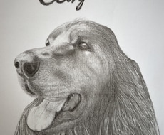 鉛筆でお犬さんを描きます お犬さんの思い出の写真を鉛筆画にいたします。