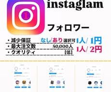 インスタグラム【低品質】フォロワー増やします イメージ1